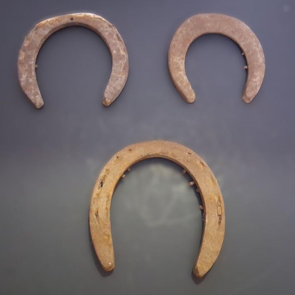 Antique Iron Horseshoes Cowboy Project Western Art Decor LUCKY real Horseshoes